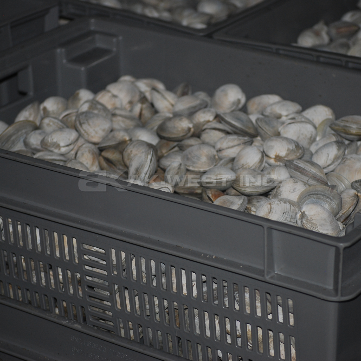 Grey, 24" x 16" x 8", Vented Stack and Nest Container, (Alt. M/N: AC11034)