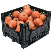 Black, 48" x 40" x 32", Vented Collapsible, 4 Gates, Field Bin Bulk Container